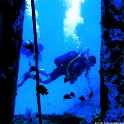 Divers doing what divers do. On a wreck in Mauritius by Andrew Macleod 